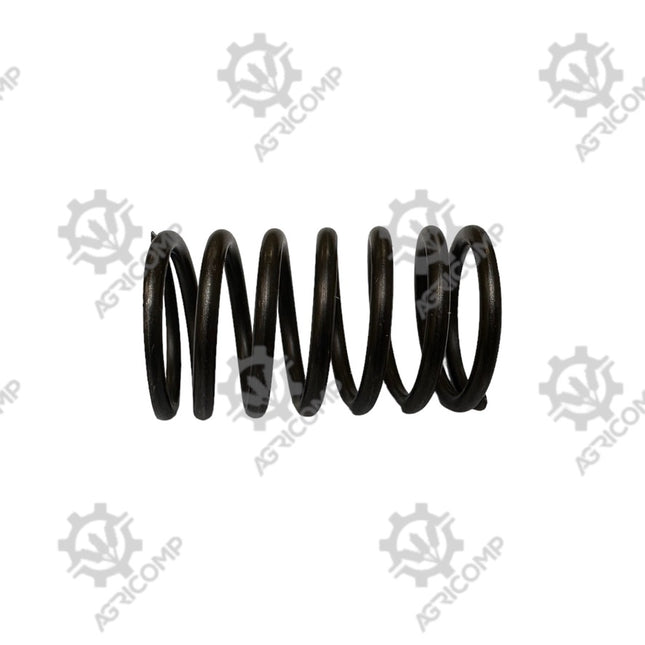 Dexta Intake Inlet Valve Spring